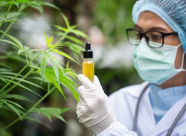 Florida Medical Cannabis Solutions