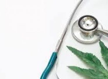 Doctors Of Cannabis – Stillwater