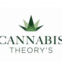 Cannabis Theorys